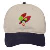 OTTO CAP 6 Panel Low Profile Baseball Cap Thumbnail