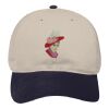 OTTO CAP 6 Panel Low Profile Baseball Cap Thumbnail