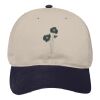 OTTO CAP 6 Panel Low Profile Baseball Cap Thumbnail