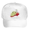 OTTO CAP 6 Panel Mid Profile Baseball Cap Thumbnail